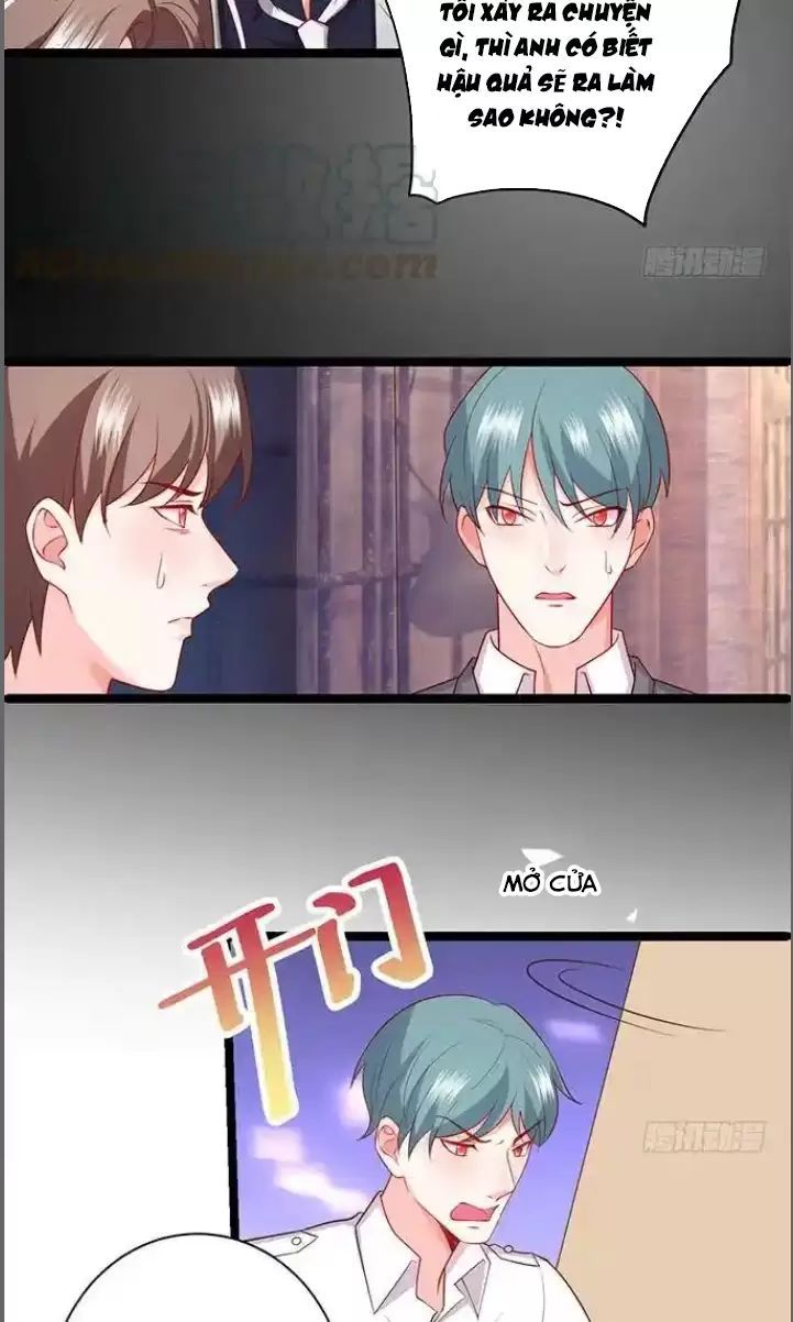 Hắc Đạo Đáng Yêu Chapter 173 - 17