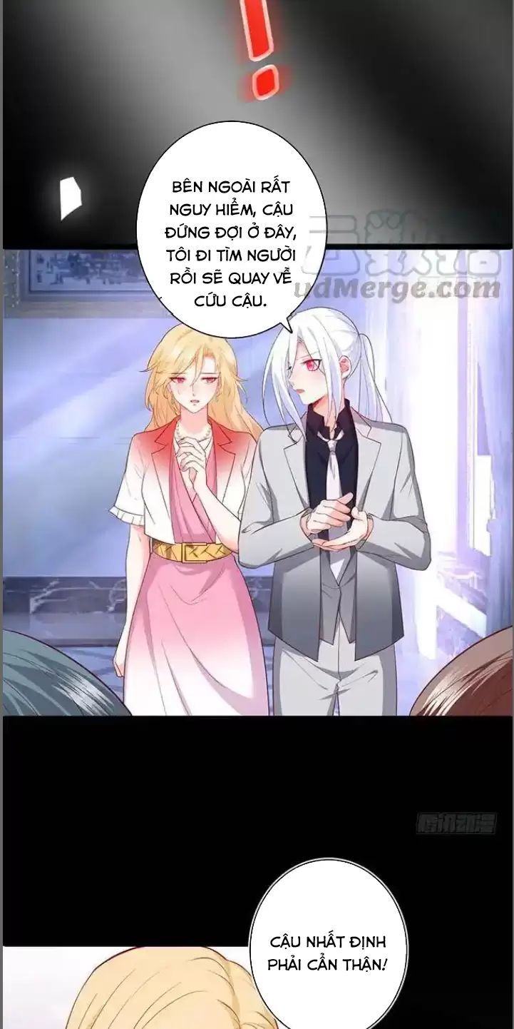 Hắc Đạo Đáng Yêu Chapter 173 - 21