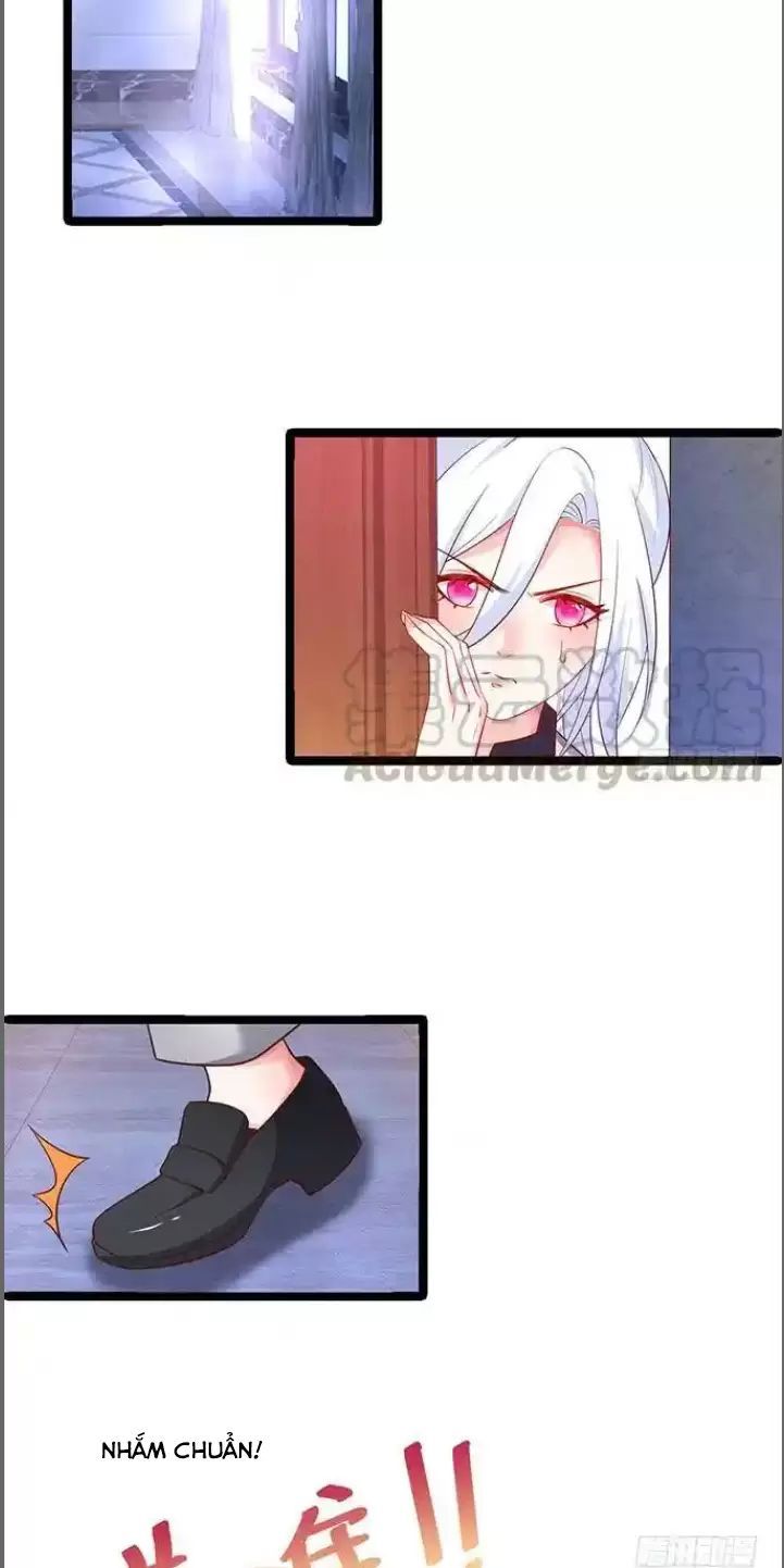 Hắc Đạo Đáng Yêu Chapter 173 - 25