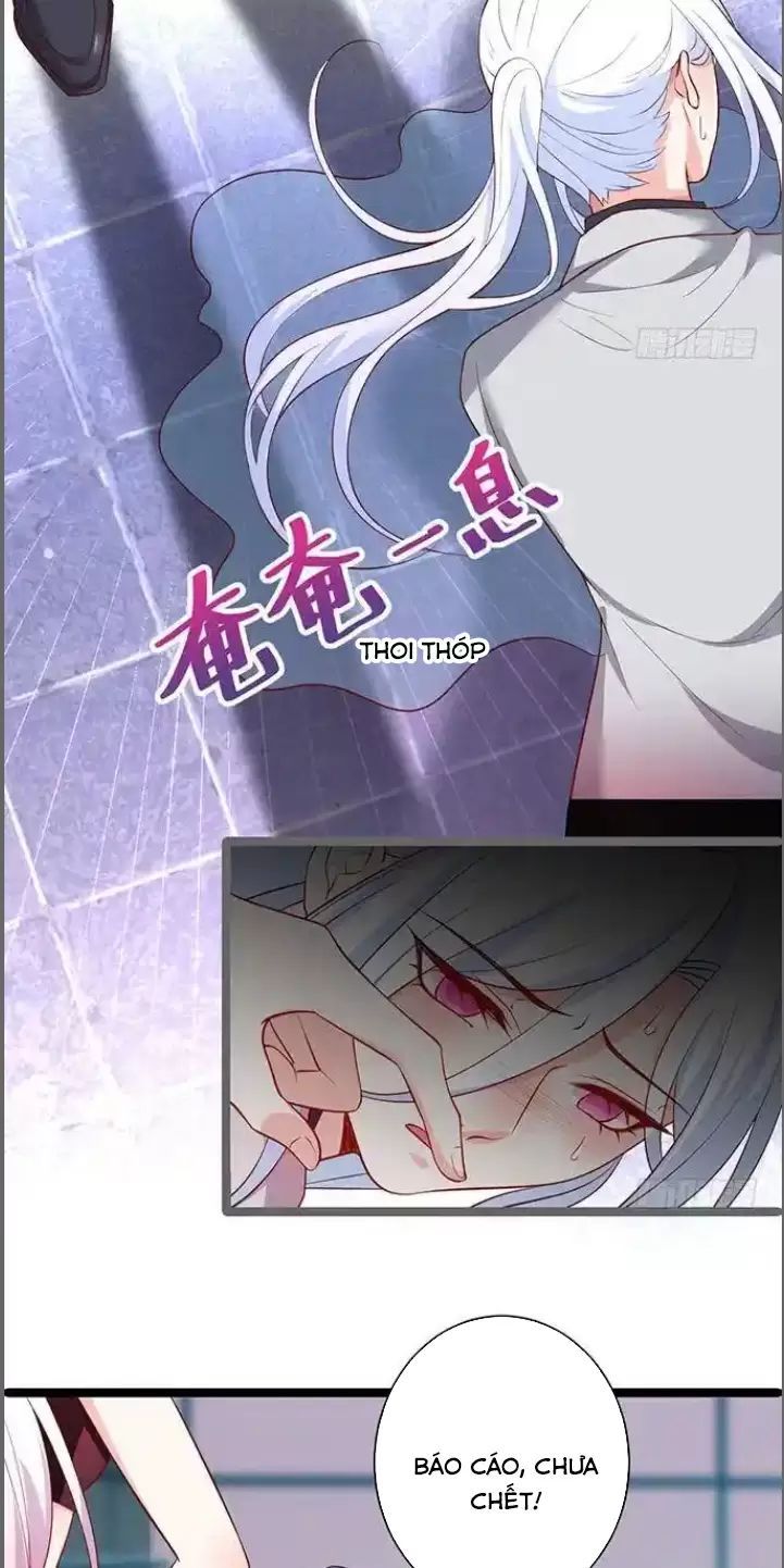 Hắc Đạo Đáng Yêu Chapter 173 - 41