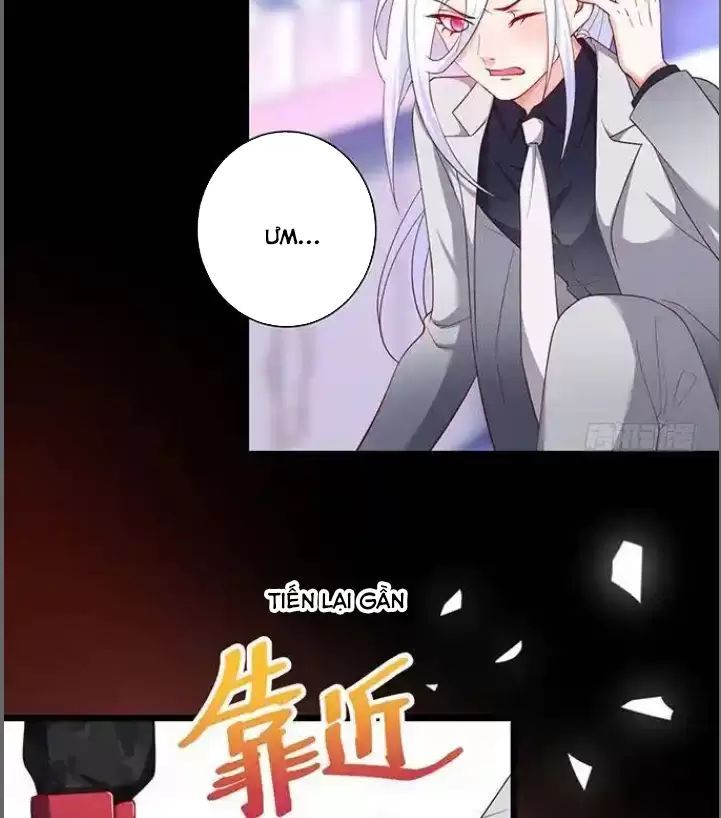 Hắc Đạo Đáng Yêu Chapter 173 - 7