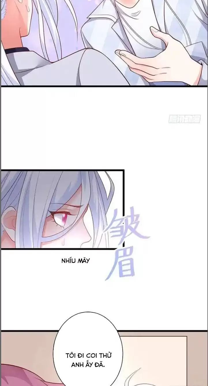Hắc Đạo Đáng Yêu Chapter 174 - 13