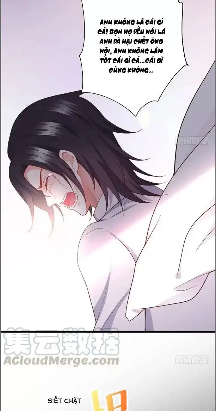 Hắc Đạo Đáng Yêu Chapter 174 - 24
