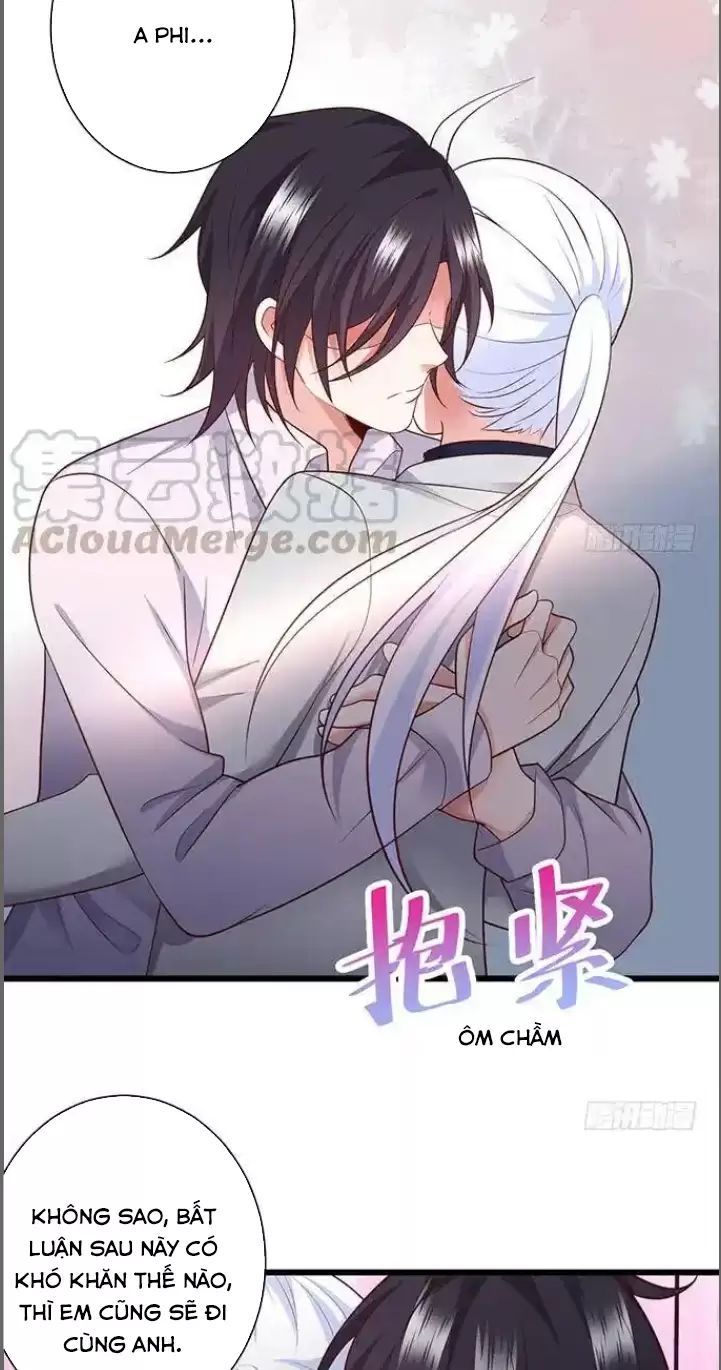 Hắc Đạo Đáng Yêu Chapter 174 - 28