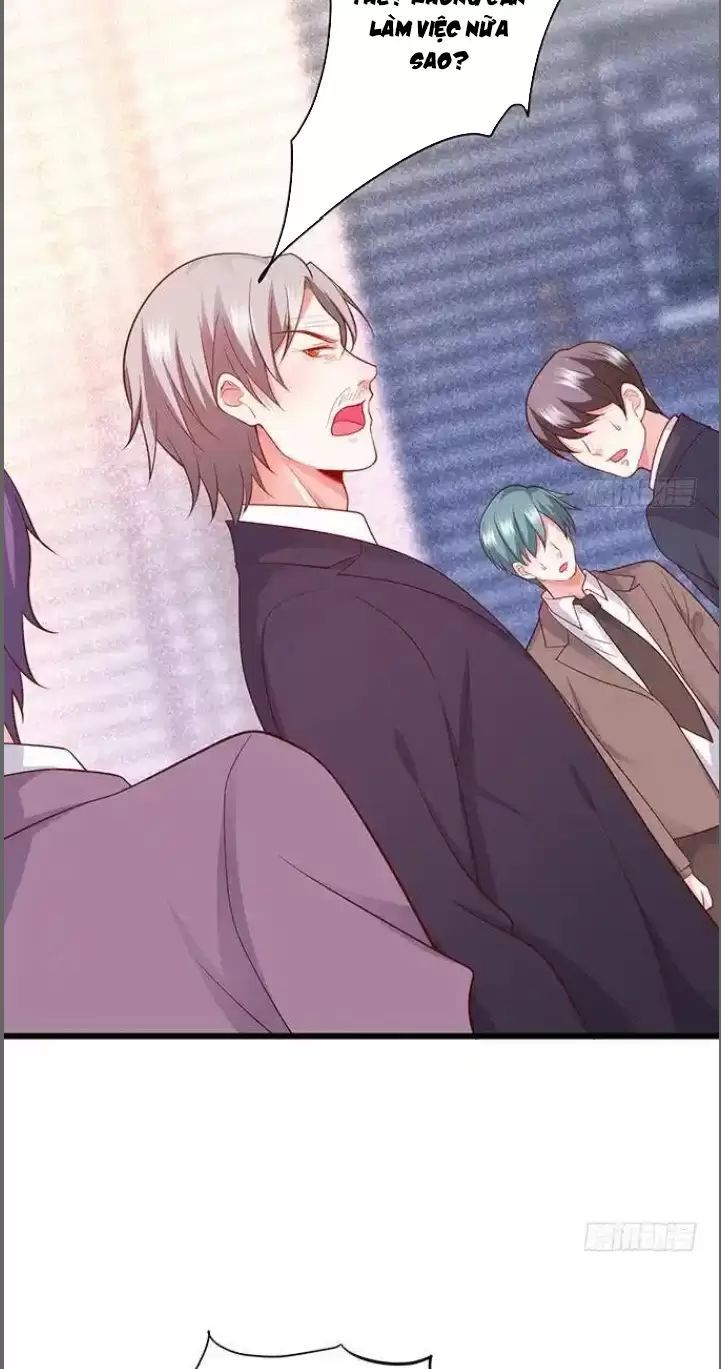 Hắc Đạo Đáng Yêu Chapter 174 - 34