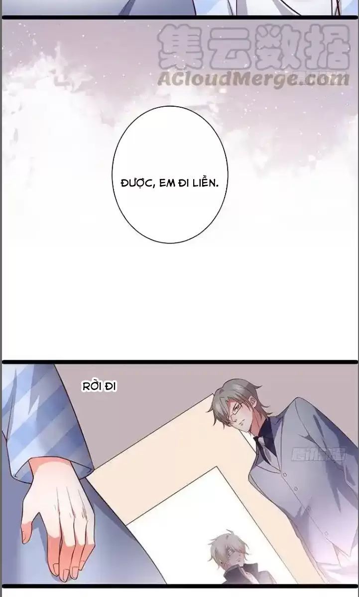 Hắc Đạo Đáng Yêu Chapter 175 - 12