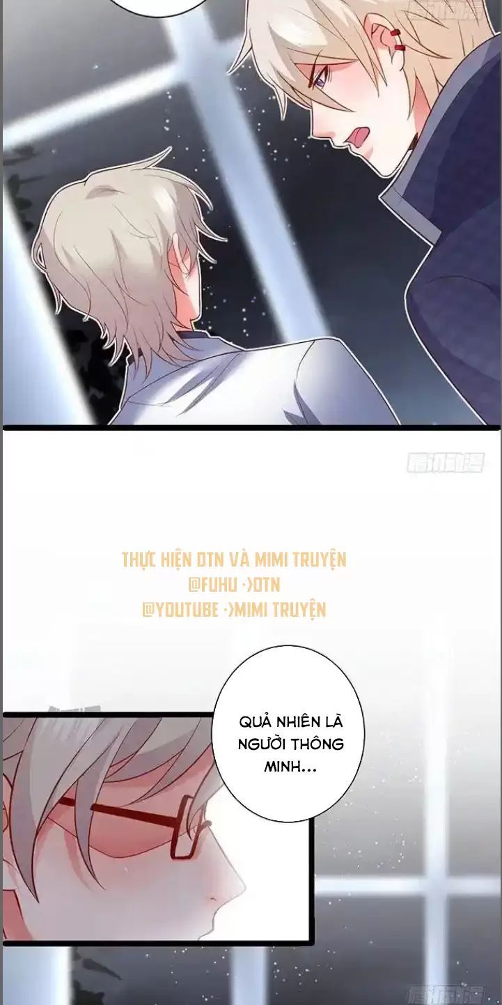 Hắc Đạo Đáng Yêu Chapter 175 - 14