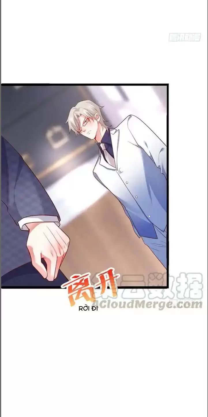 Hắc Đạo Đáng Yêu Chapter 175 - 23