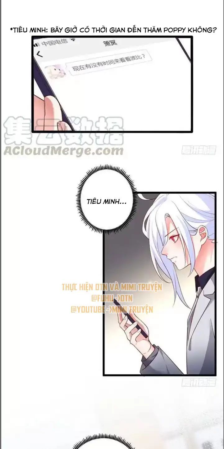 Hắc Đạo Đáng Yêu Chapter 175 - 32