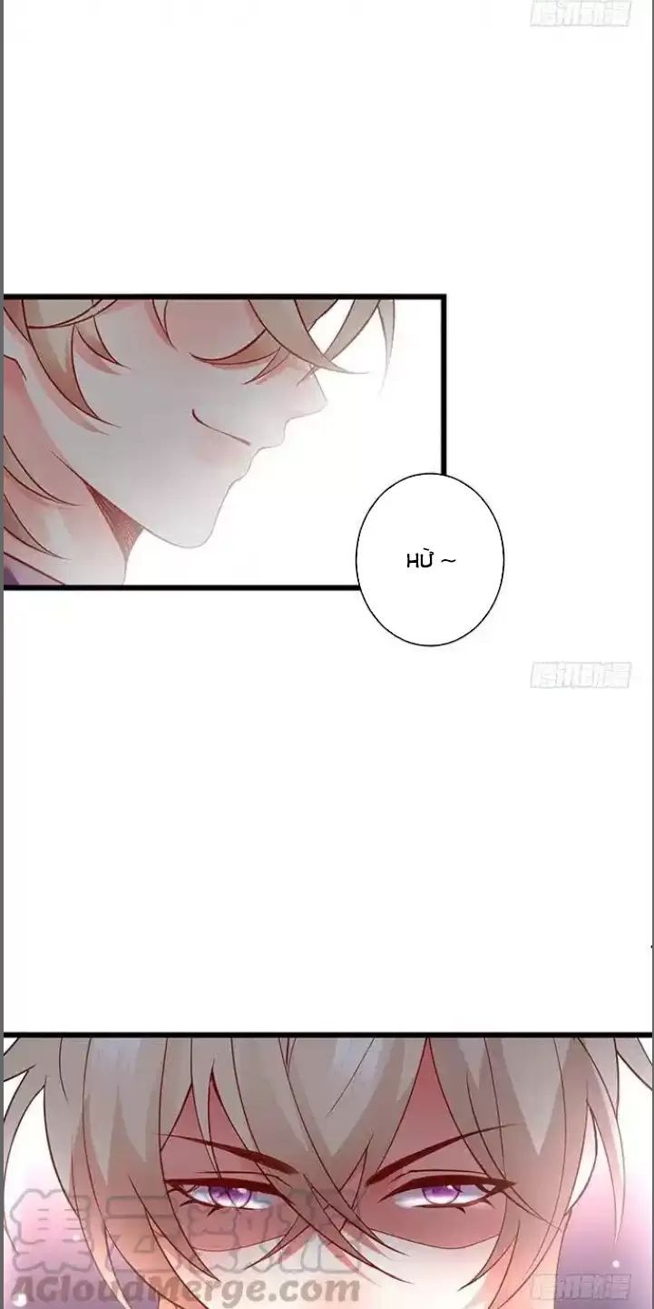 Hắc Đạo Đáng Yêu Chapter 175 - 40