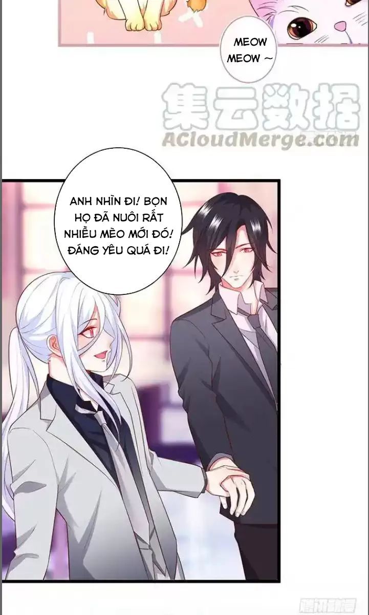 Hắc Đạo Đáng Yêu Chapter 176 - 12