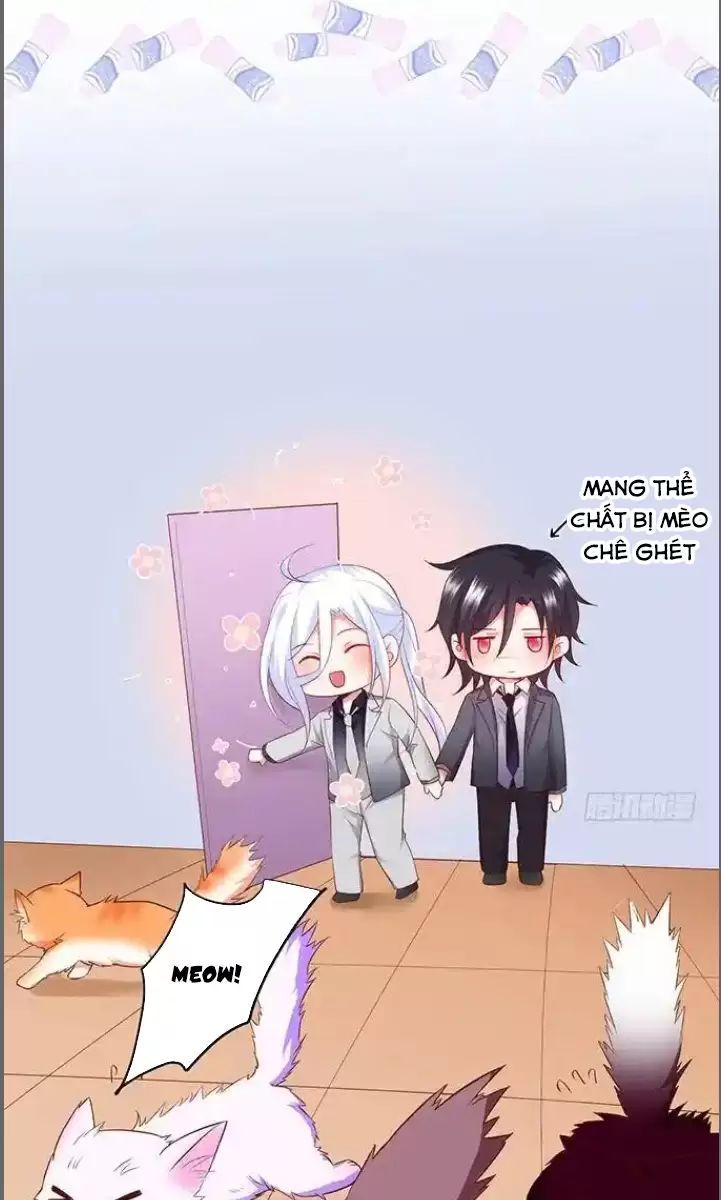 Hắc Đạo Đáng Yêu Chapter 176 - 13