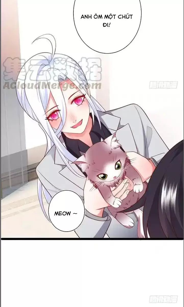 Hắc Đạo Đáng Yêu Chapter 176 - 16