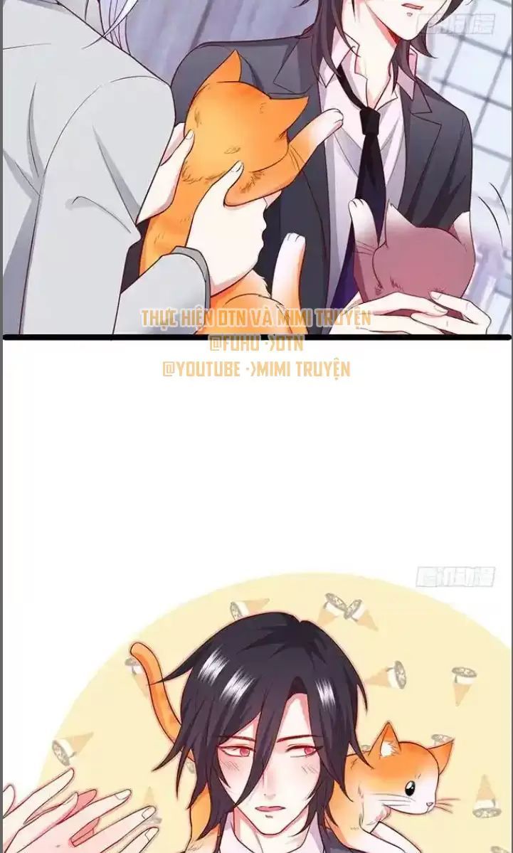 Hắc Đạo Đáng Yêu Chapter 176 - 18