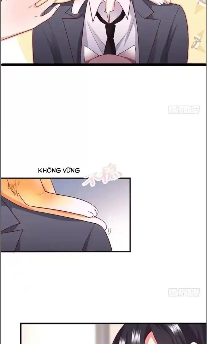 Hắc Đạo Đáng Yêu Chapter 176 - 19