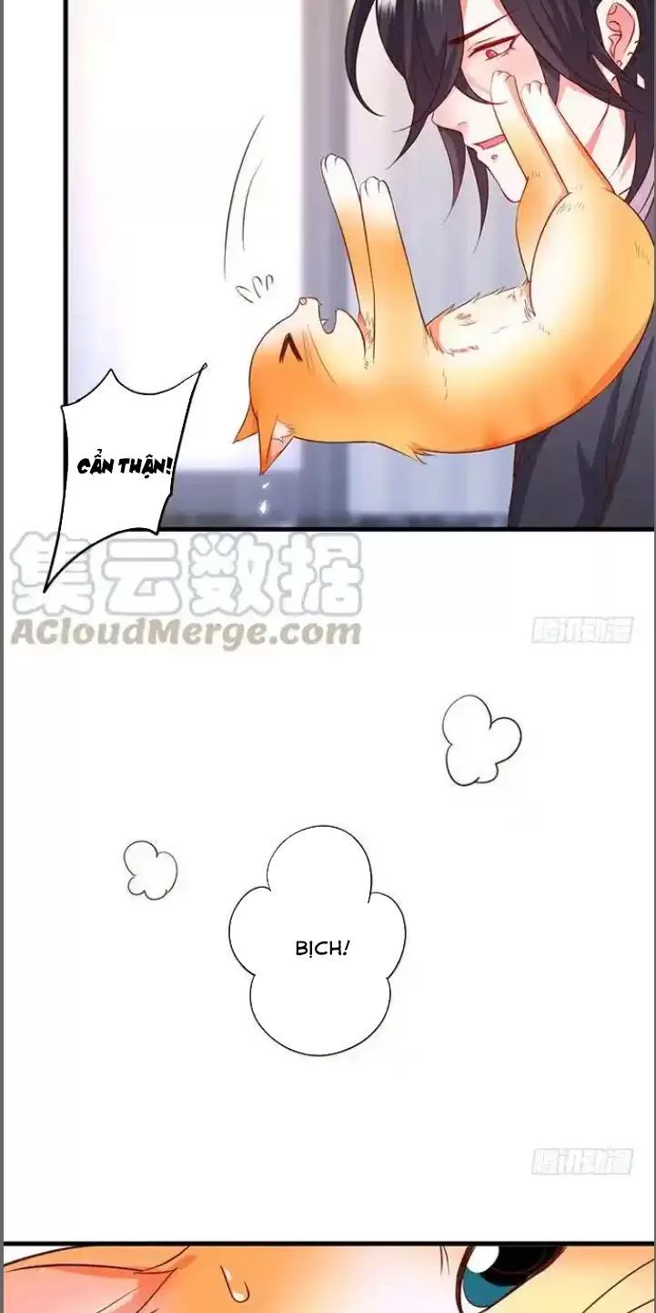 Hắc Đạo Đáng Yêu Chapter 176 - 20