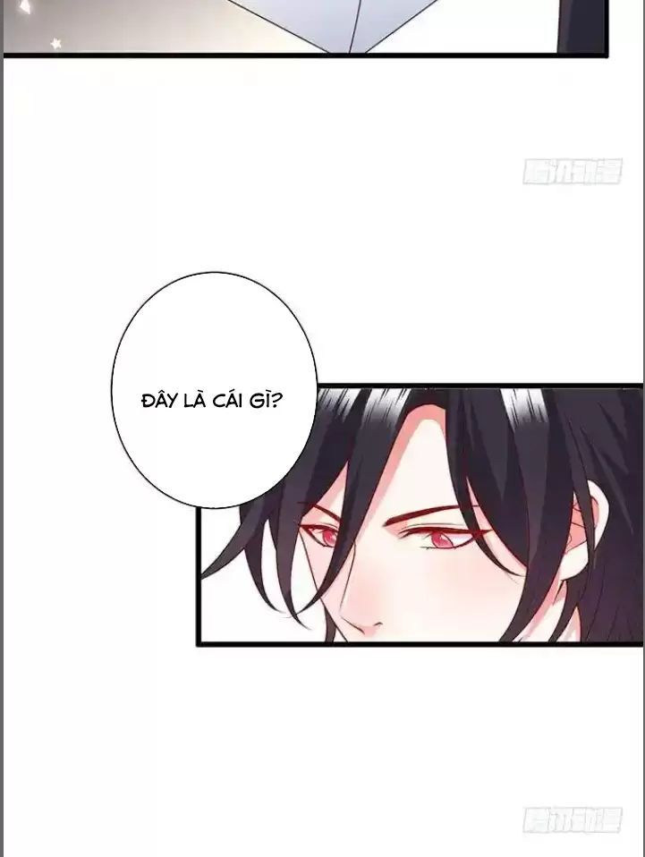 Hắc Đạo Đáng Yêu Chapter 176 - 30