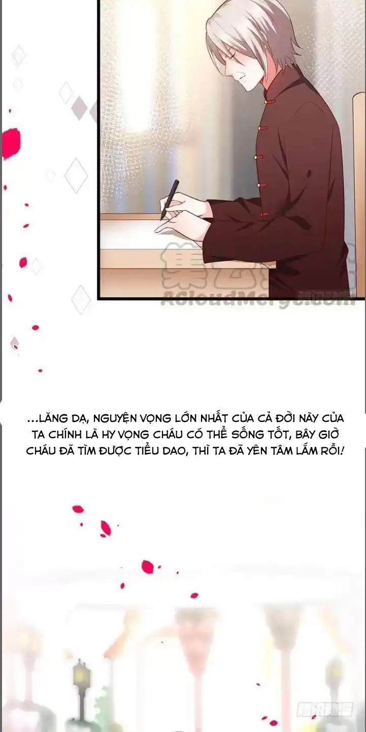 Hắc Đạo Đáng Yêu Chapter 176 - 33