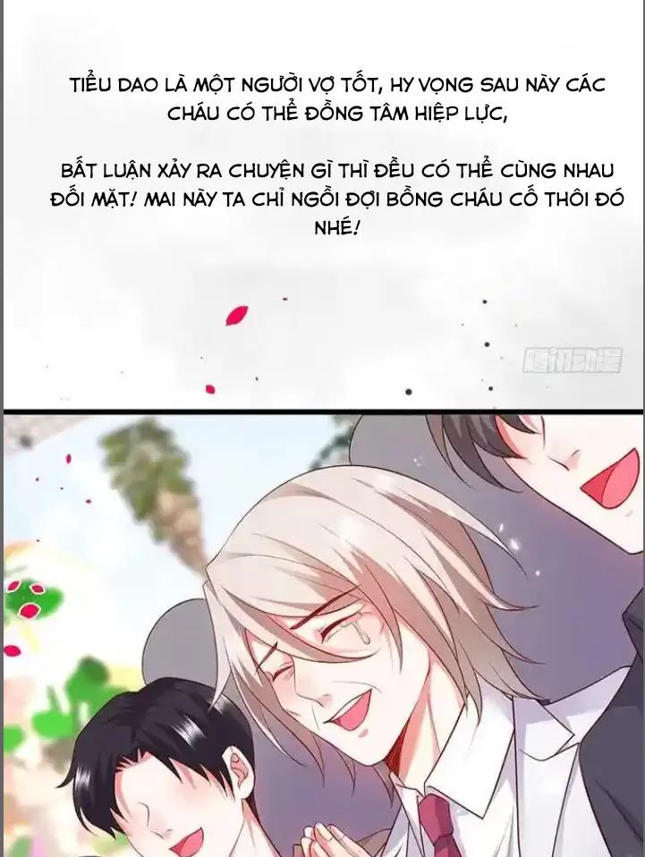 Hắc Đạo Đáng Yêu Chapter 176 - 35