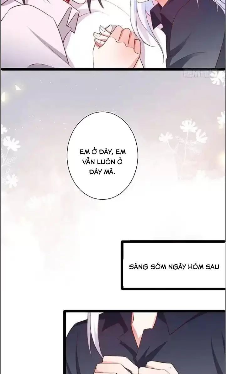 Hắc Đạo Đáng Yêu Chapter 176 - 44