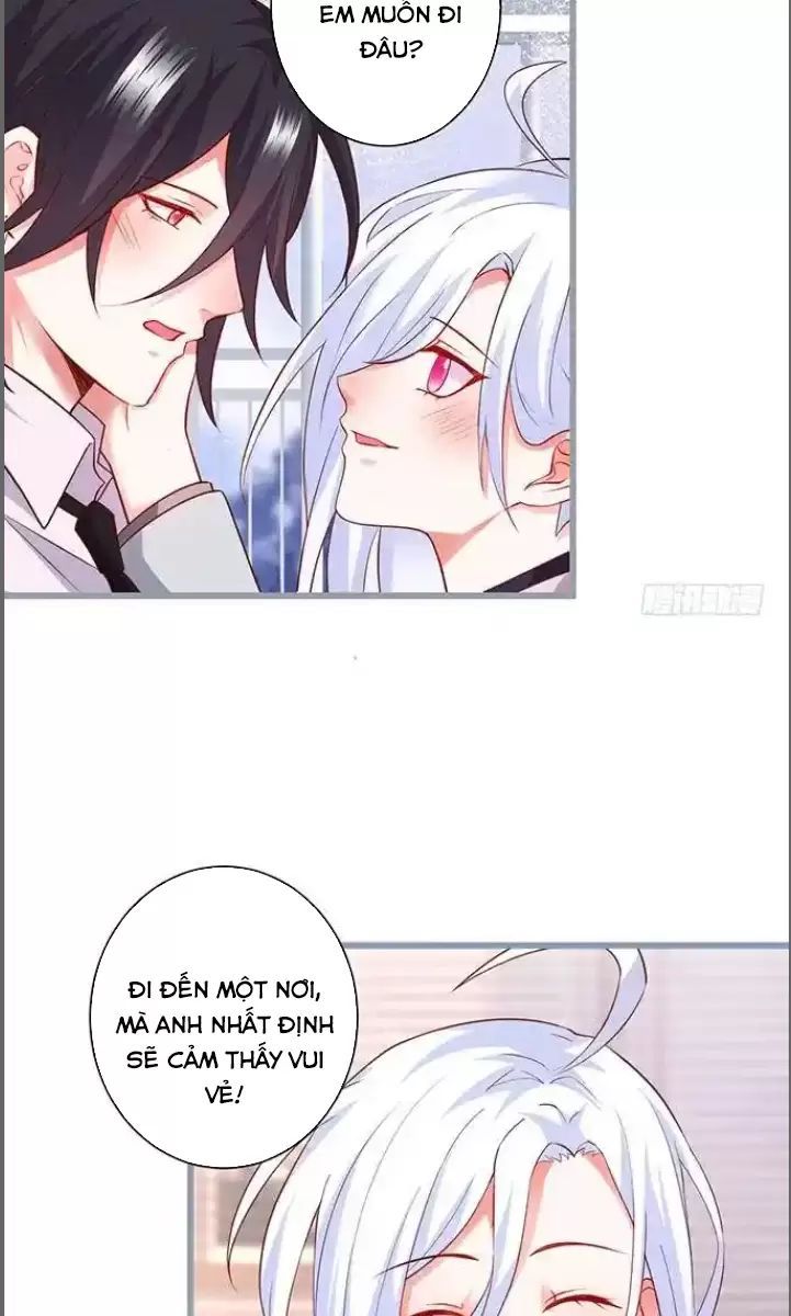 Hắc Đạo Đáng Yêu Chapter 176 - 10