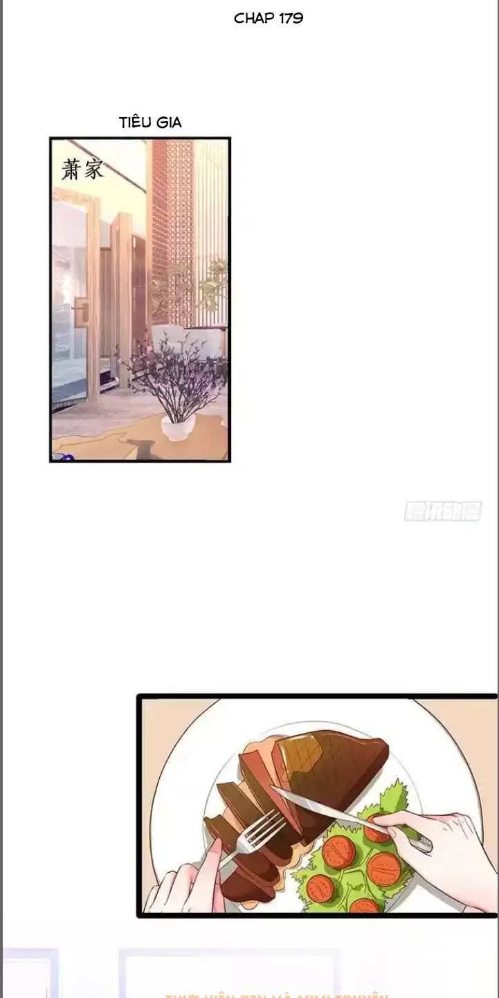 Hắc Đạo Đáng Yêu Chapter 179 - 2