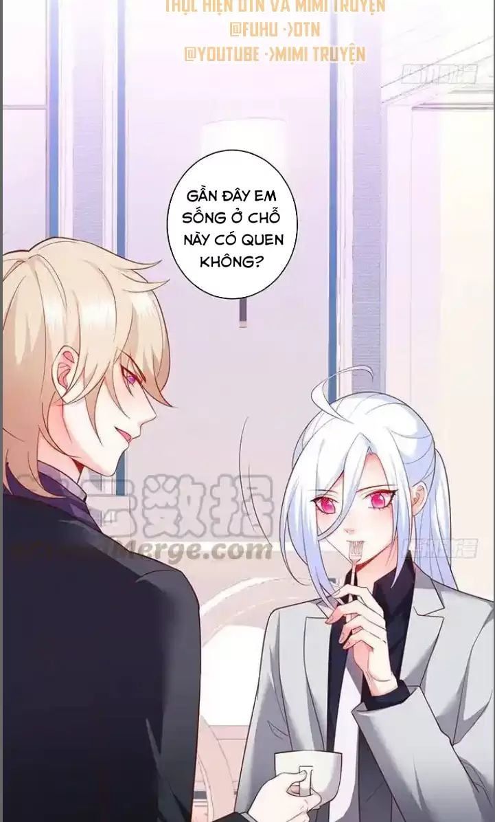 Hắc Đạo Đáng Yêu Chapter 179 - 3