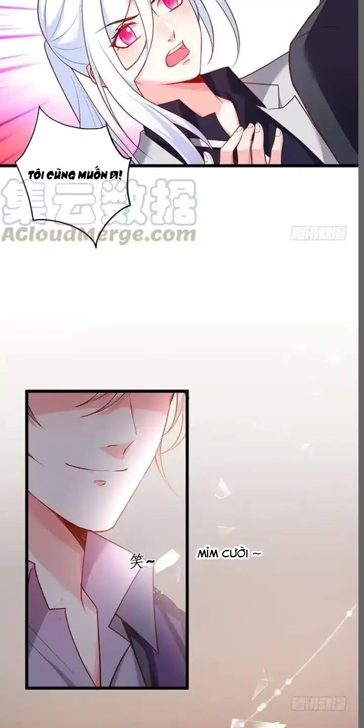 Hắc Đạo Đáng Yêu Chapter 179 - 21