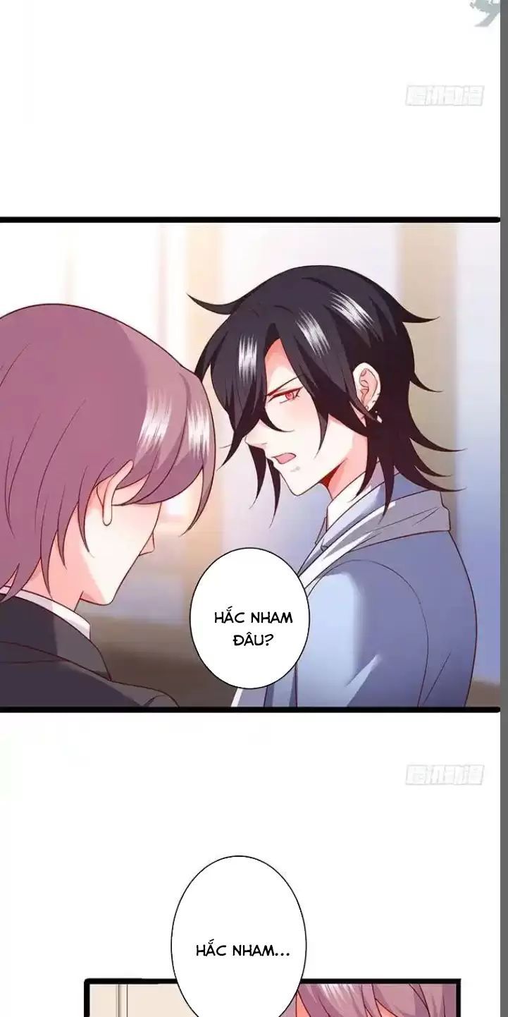Hắc Đạo Đáng Yêu Chapter 179 - 28