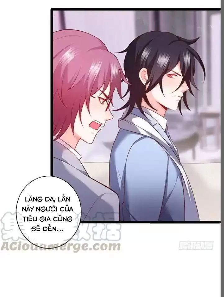 Hắc Đạo Đáng Yêu Chapter 179 - 35