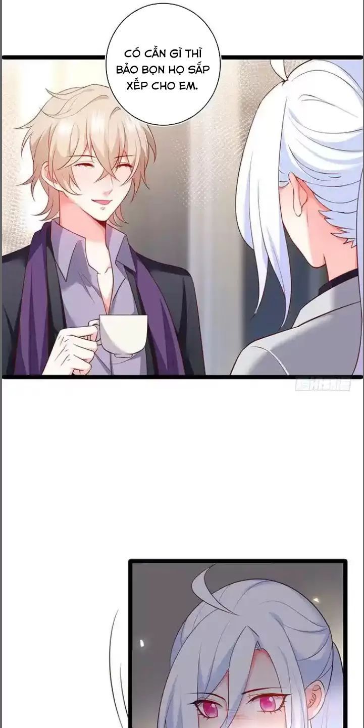 Hắc Đạo Đáng Yêu Chapter 179 - 5