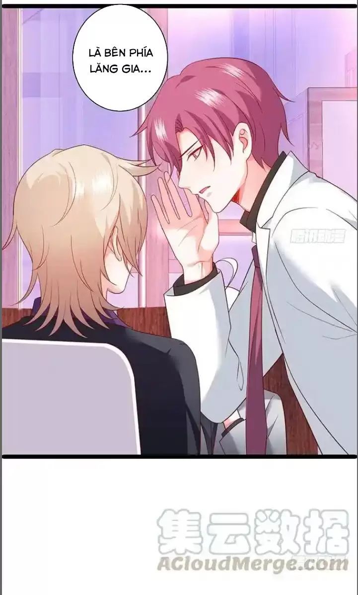 Hắc Đạo Đáng Yêu Chapter 179 - 7
