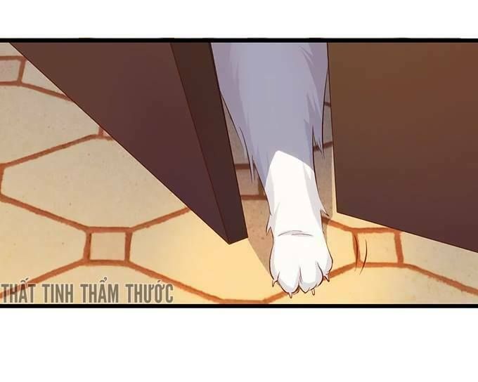 Hắc Đạo Đáng Yêu Chapter 18 - 14