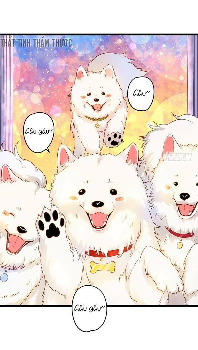 Hắc Đạo Đáng Yêu Chapter 18 - 16