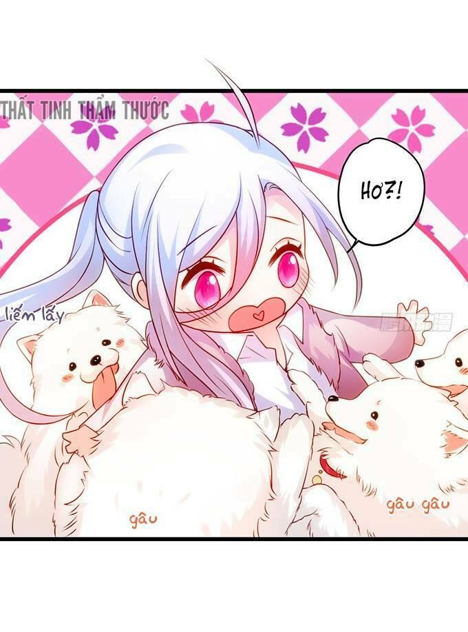 Hắc Đạo Đáng Yêu Chapter 18 - 17