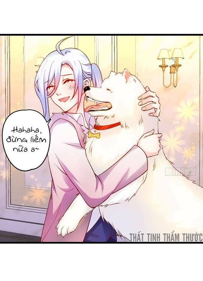 Hắc Đạo Đáng Yêu Chapter 18 - 18