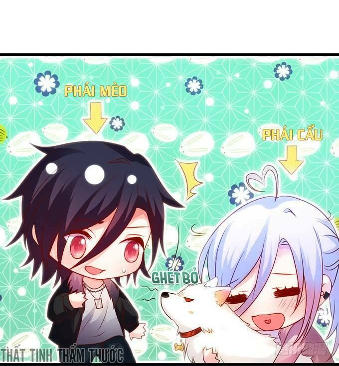 Hắc Đạo Đáng Yêu Chapter 18 - 23