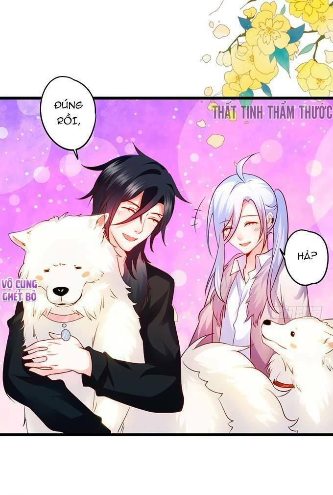 Hắc Đạo Đáng Yêu Chapter 18 - 27