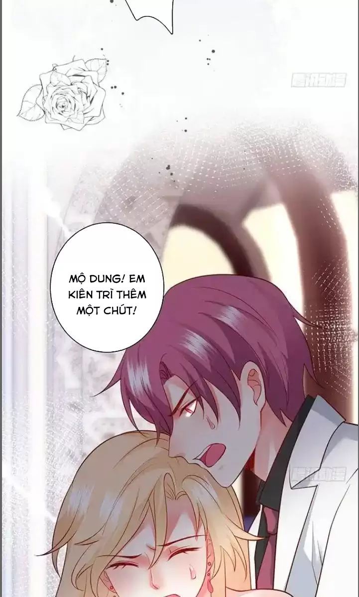 Hắc Đạo Đáng Yêu Chapter 181 - 13