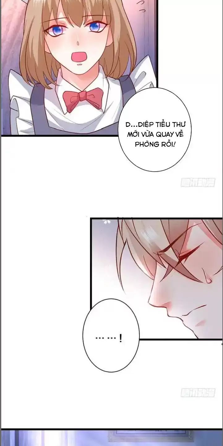 Hắc Đạo Đáng Yêu Chapter 181 - 17