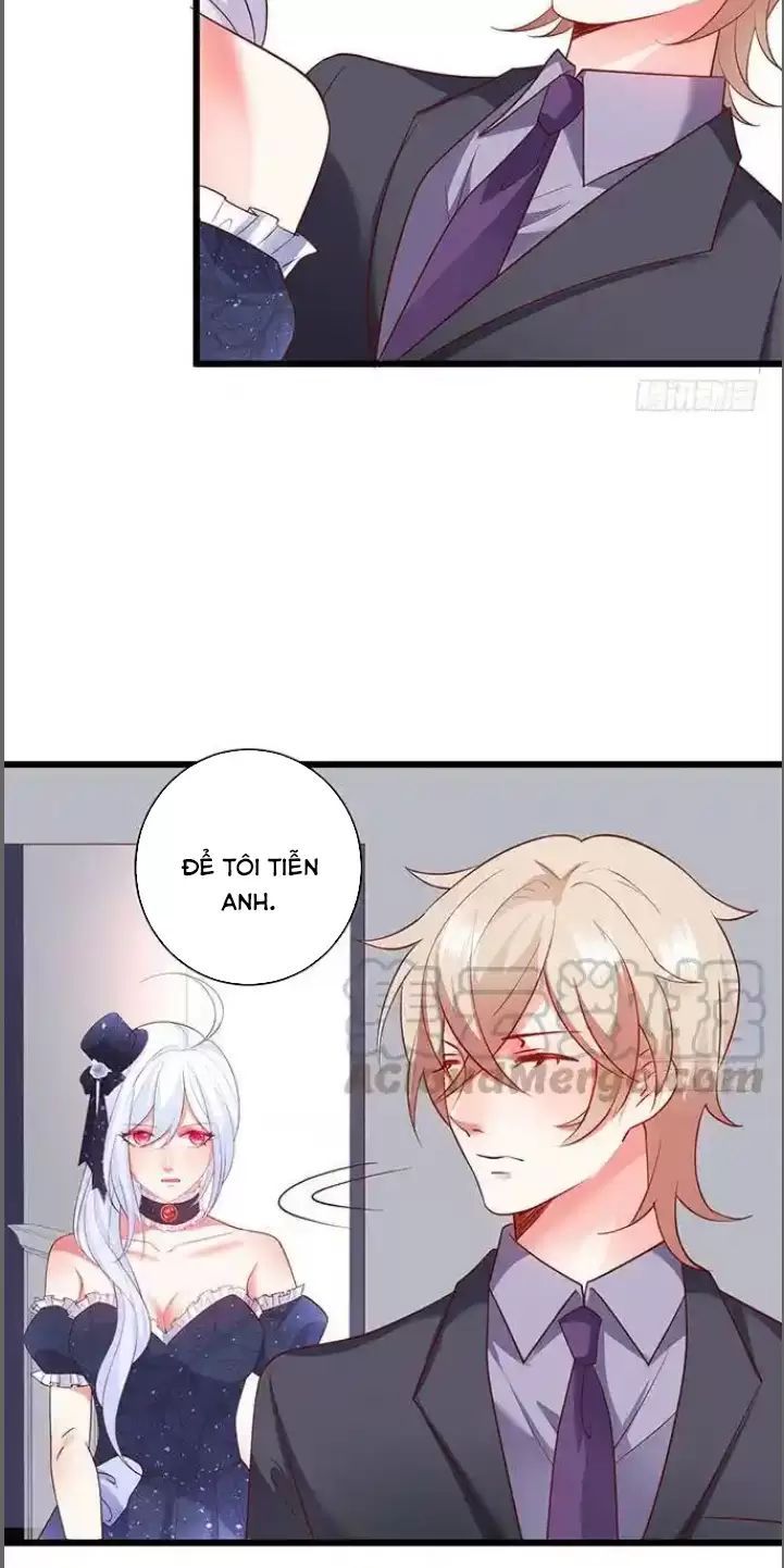 Hắc Đạo Đáng Yêu Chapter 181 - 24