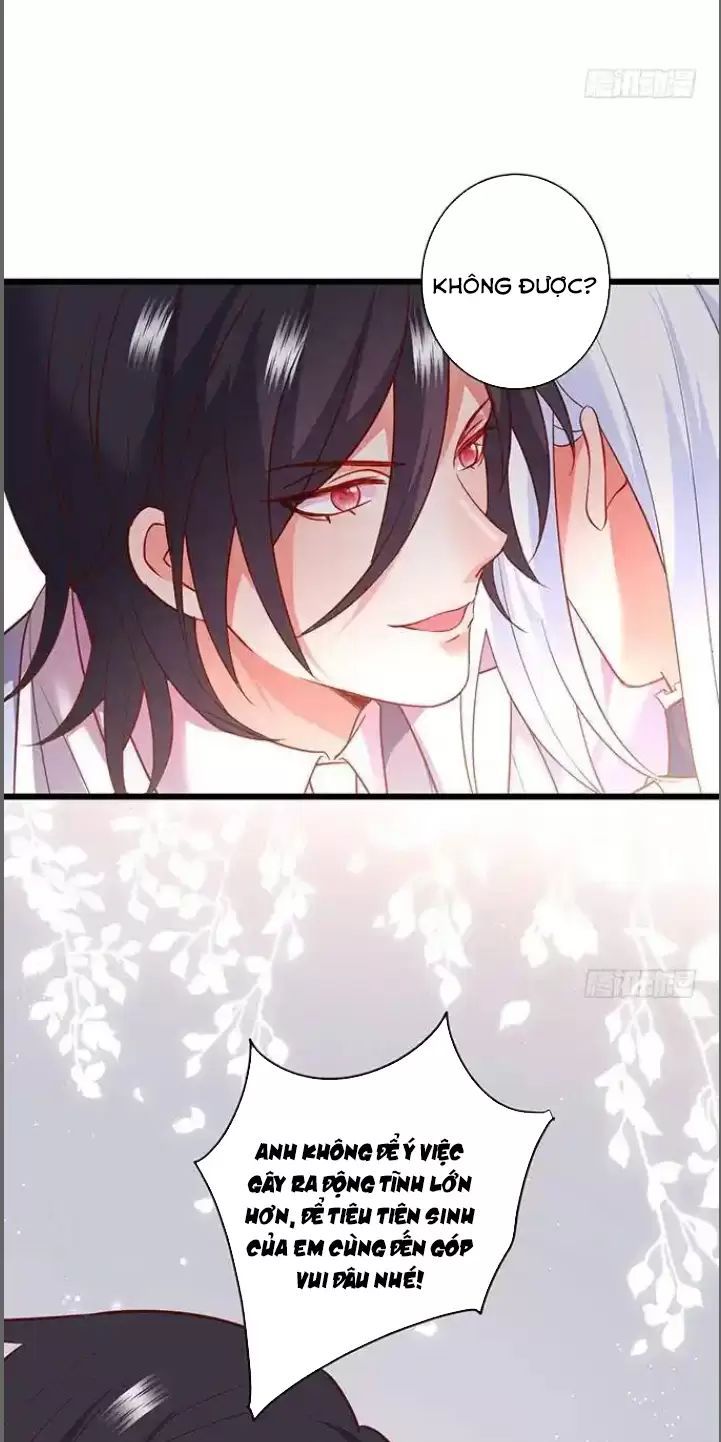 Hắc Đạo Đáng Yêu Chapter 181 - 36