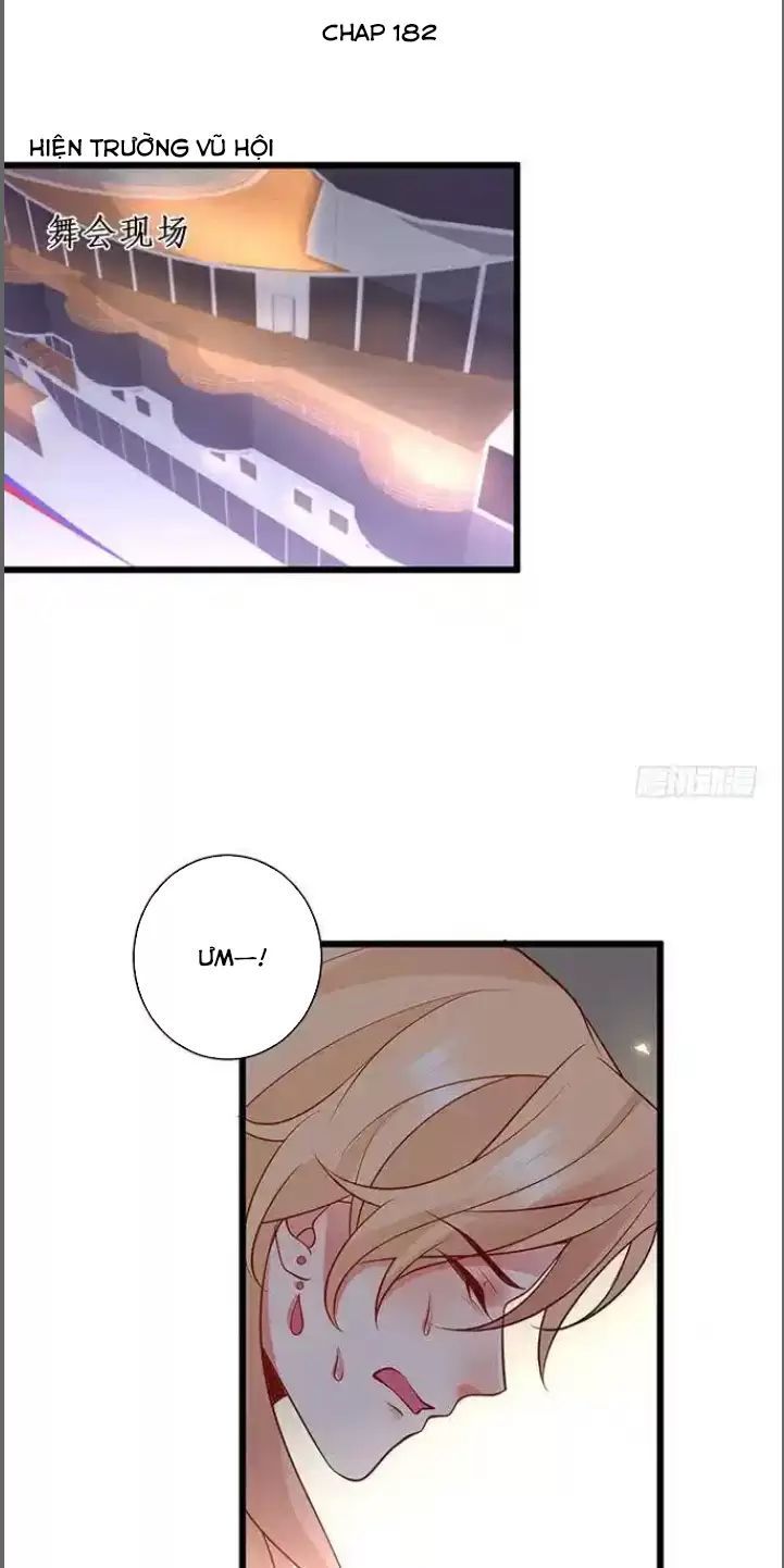 Hắc Đạo Đáng Yêu Chapter 182 - 2