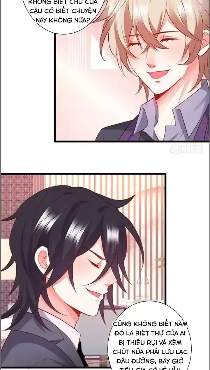 Hắc Đạo Đáng Yêu Chapter 182 - 30