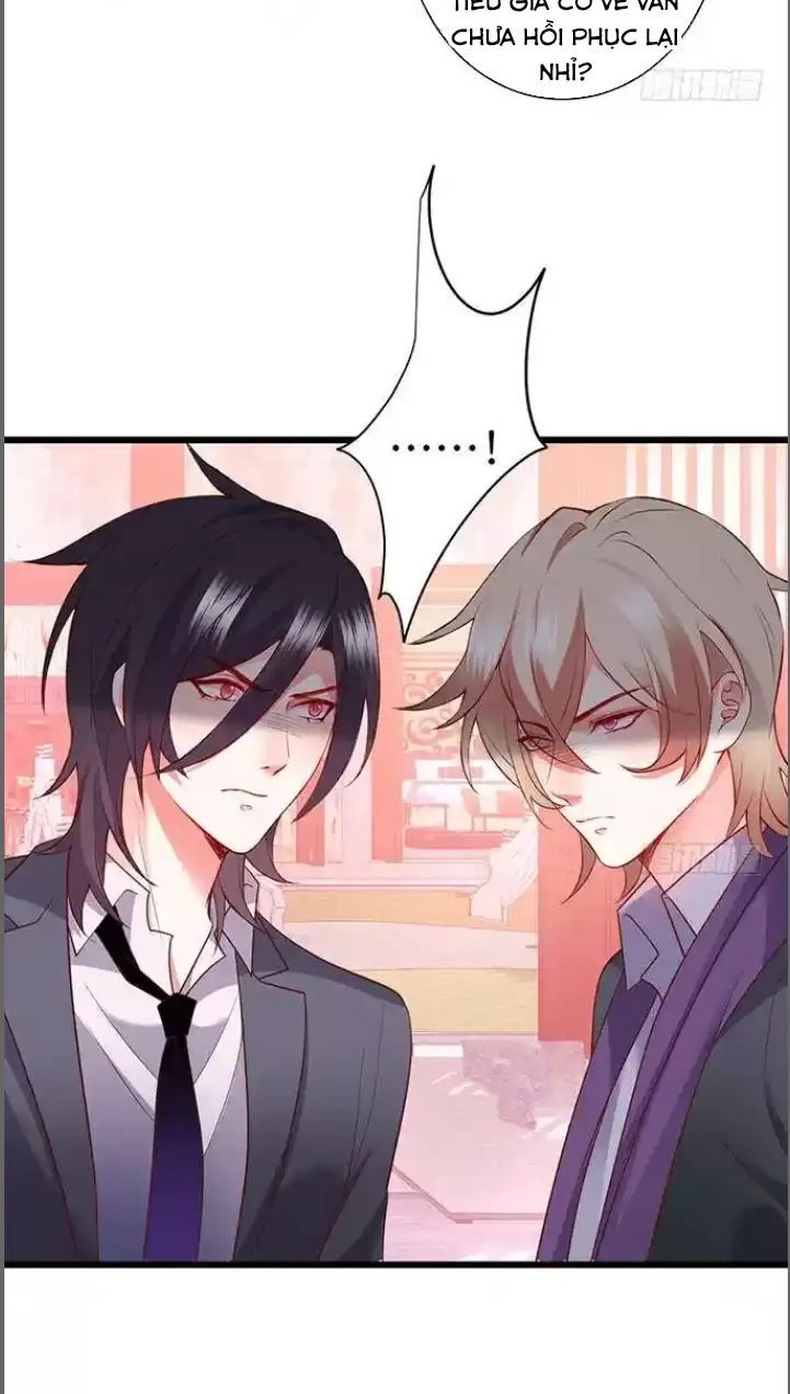 Hắc Đạo Đáng Yêu Chapter 182 - 31