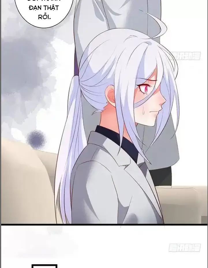 Hắc Đạo Đáng Yêu Chapter 184 - 16