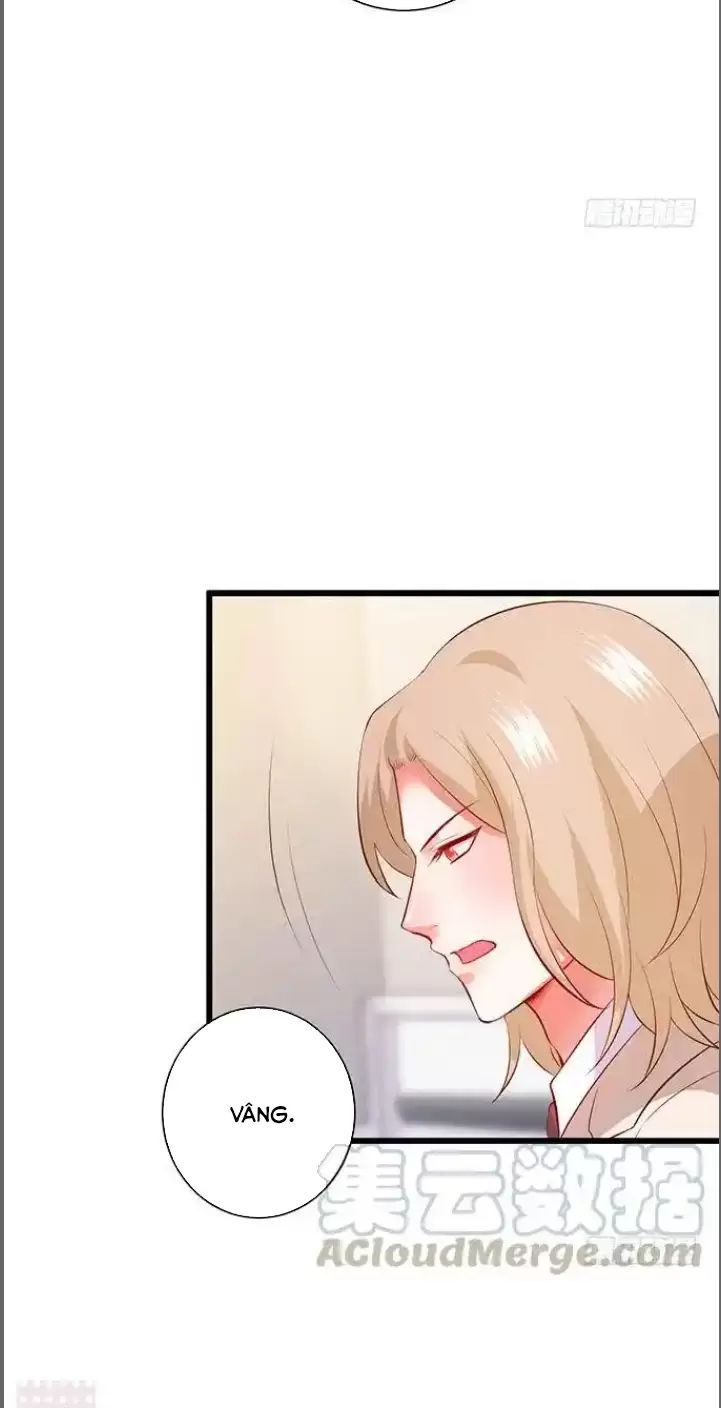 Hắc Đạo Đáng Yêu Chapter 184 - 39