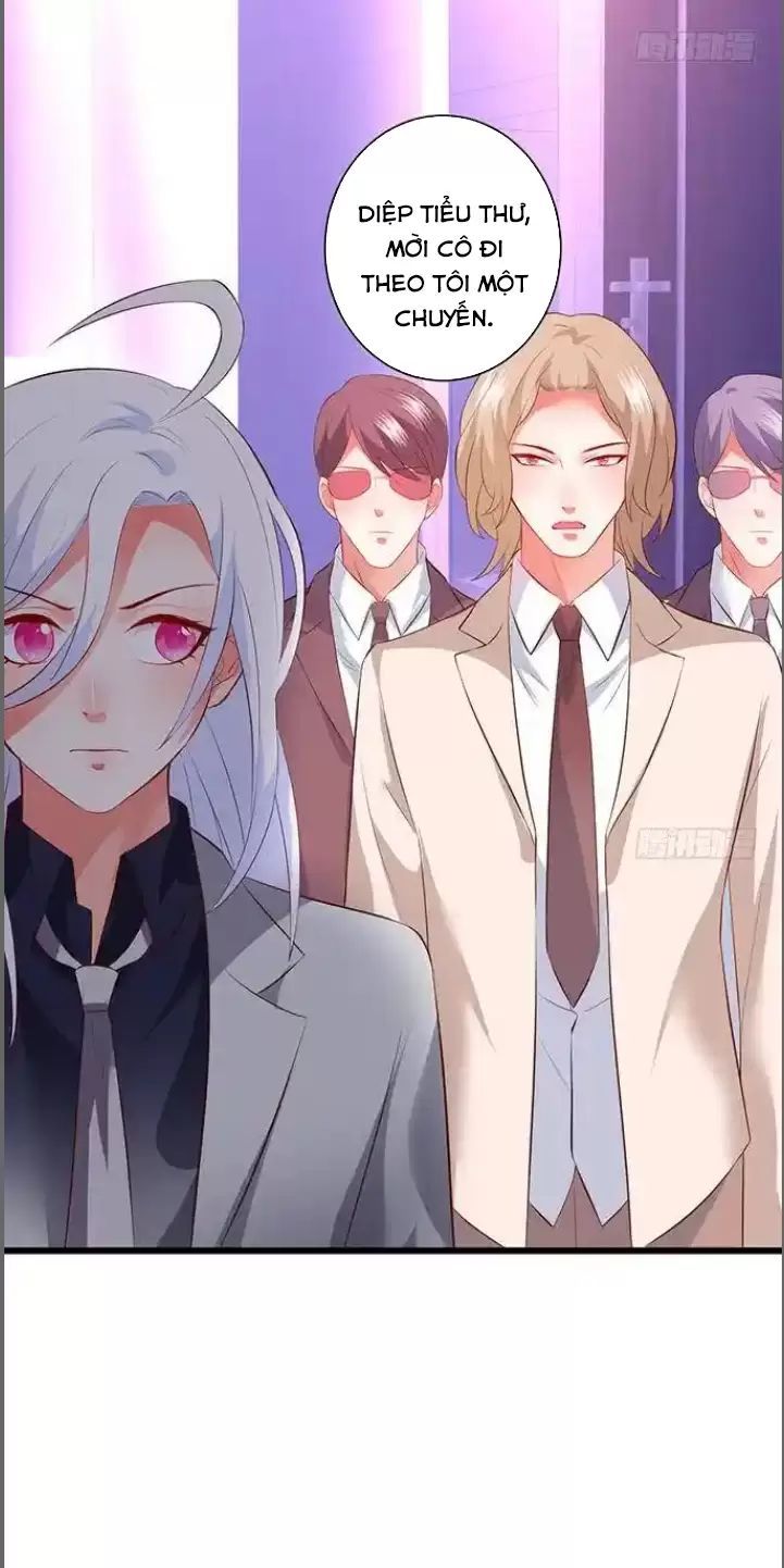 Hắc Đạo Đáng Yêu Chapter 184 - 41