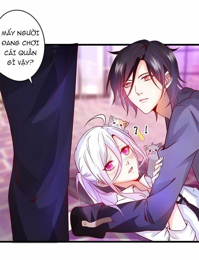 Hắc Đạo Đáng Yêu Chapter 2 - 18