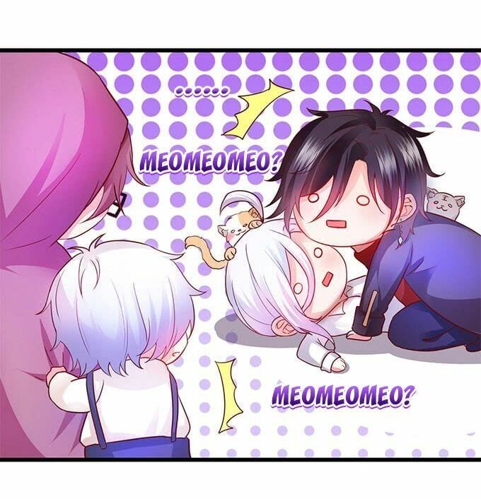 Hắc Đạo Đáng Yêu Chapter 2 - 19
